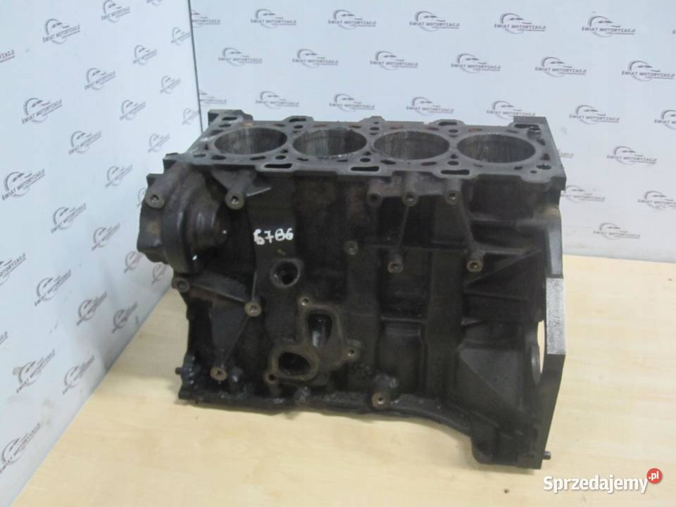 TRAFIC VIVARO 20 DCI M9R782 09r 166 Blok silnika świętokrzyskie
