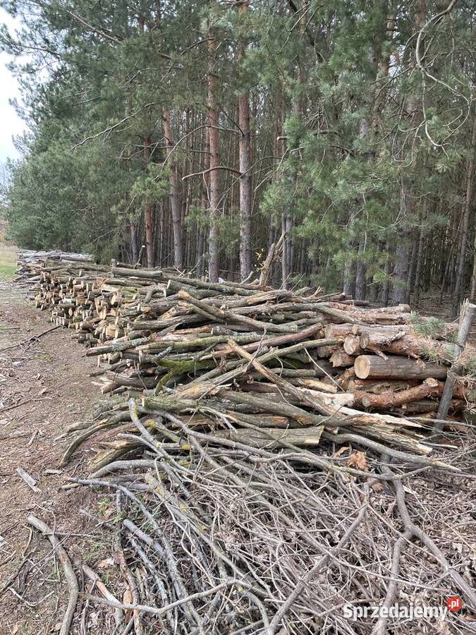 Drzewo na opał tanio Białobrzegi