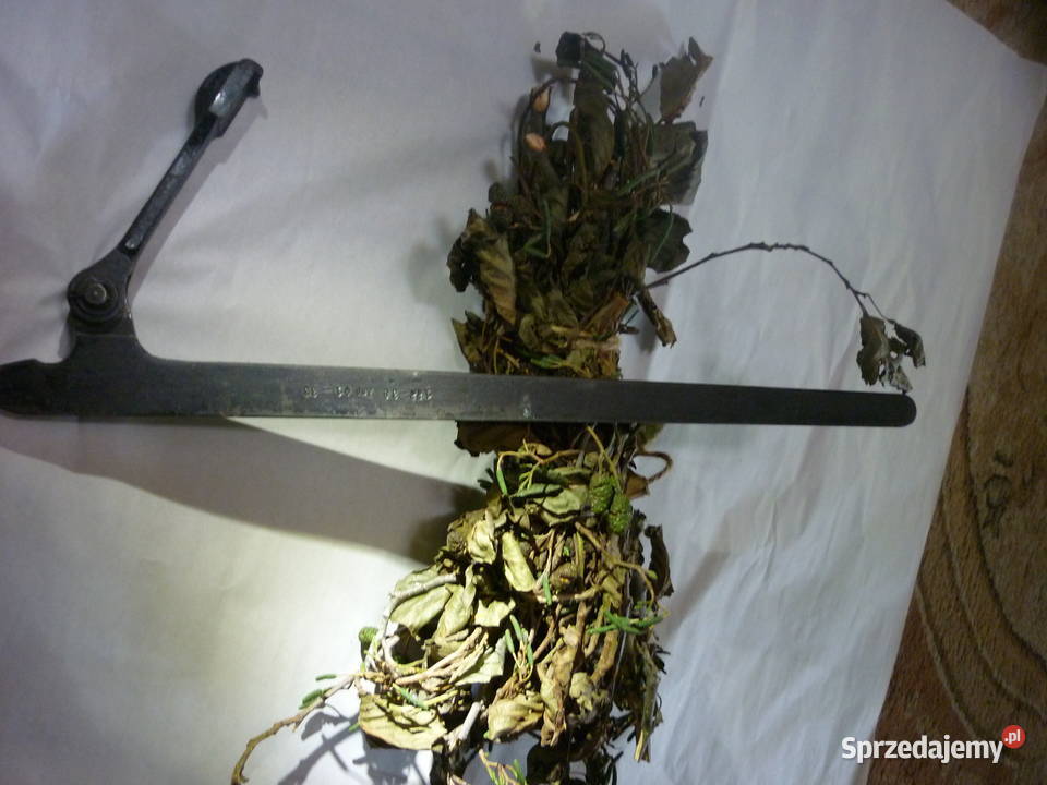 Przyrząd 12238 Zsp 4133 Dębica