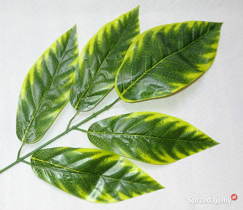 Liście ozdobne 5 na gałązce Zx1