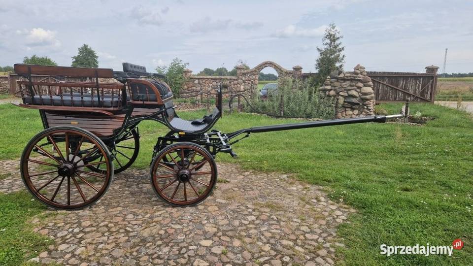 Powóz konny Bryczka Wagonetka na 1 i 2 konie Dolsk