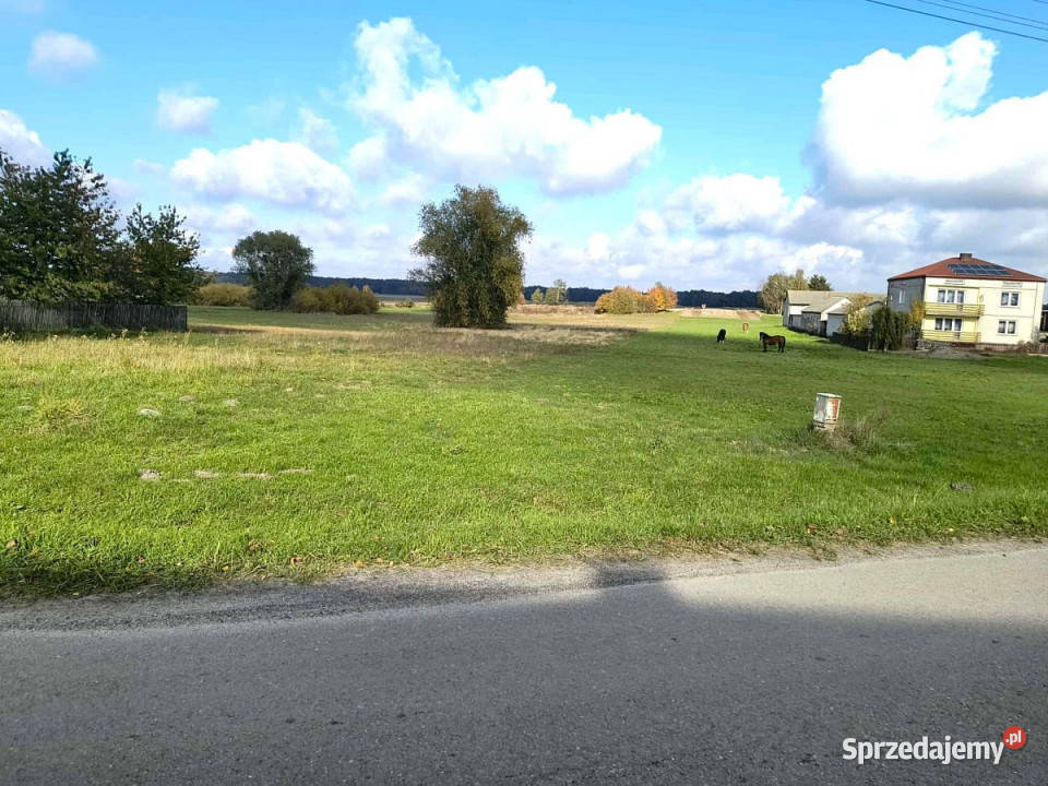 Grunt sprzedam Borków 11200m2
