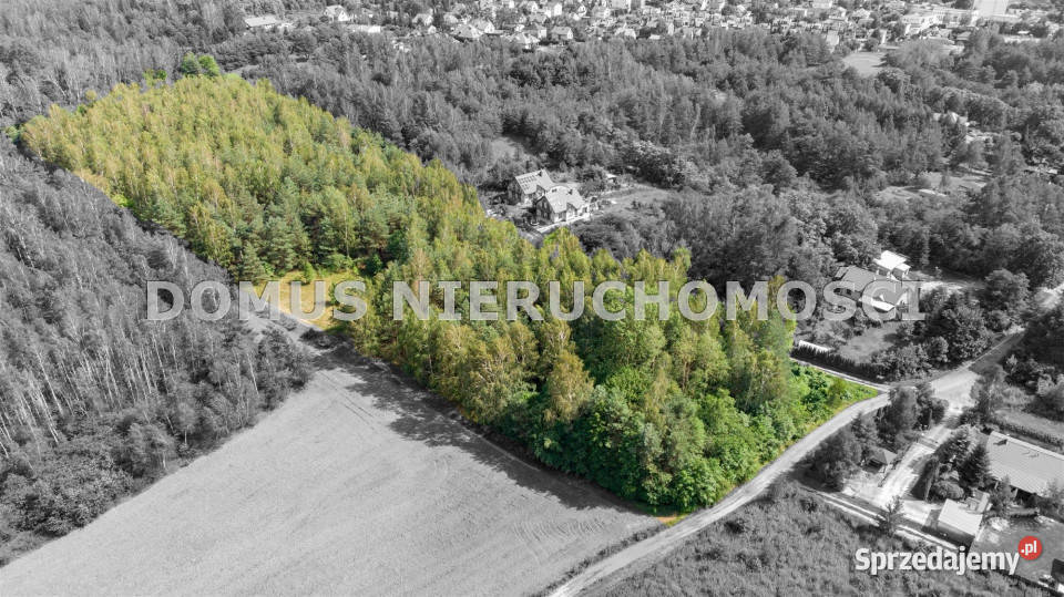 Działka 22000m Brzeziny