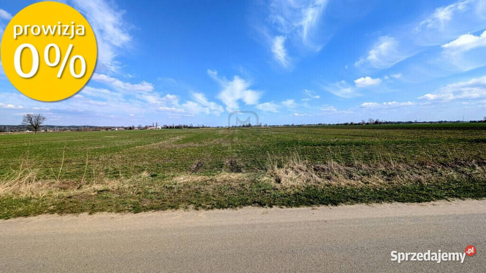 Grunt 449 ha z koncepcją 5 domów Jenin 0 budowlana sprzedam