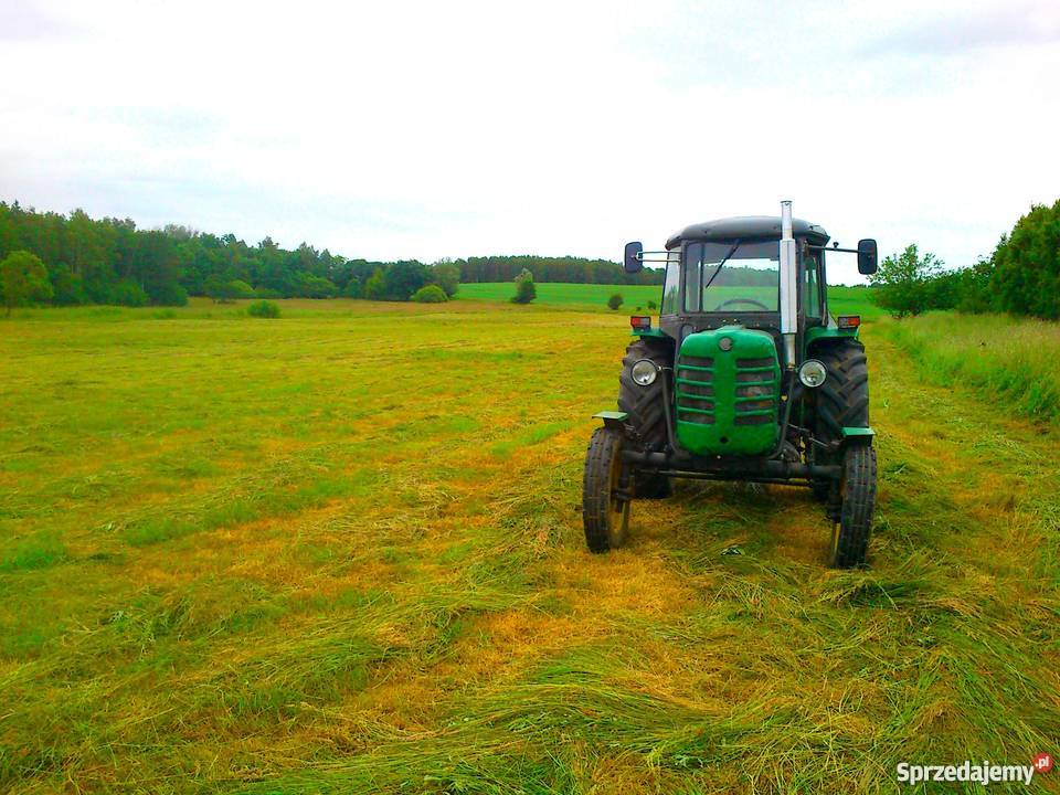 Zetor 3011 z silnikiem C360 Zaczep dolny pomorskie