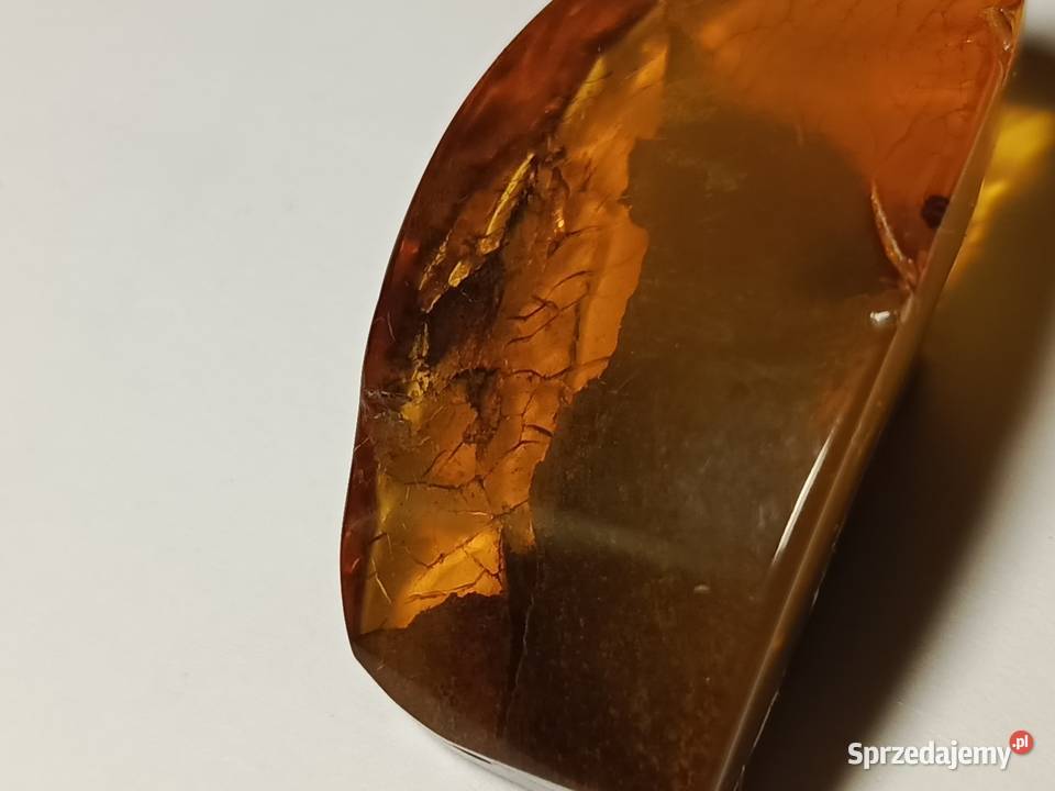 Bursztyn inkluzje