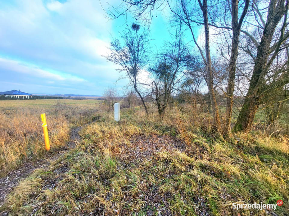 Działka Dołuje Sprzedaż zachodniopomorskie
