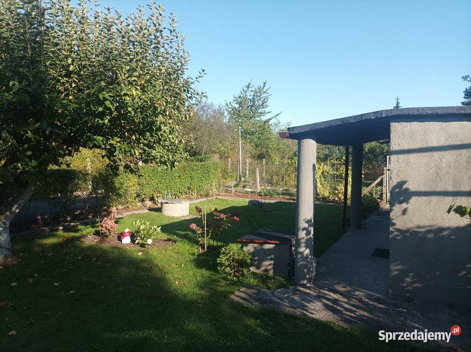 Działka rekreacyjna 1go Maja w Gliwicach