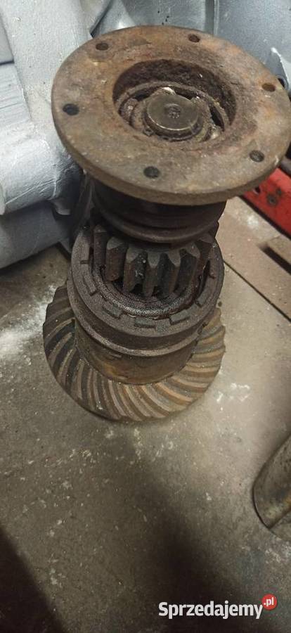 Wałek ataku i koło talerzowe dzik 21 lubuskie Stare Kurowo