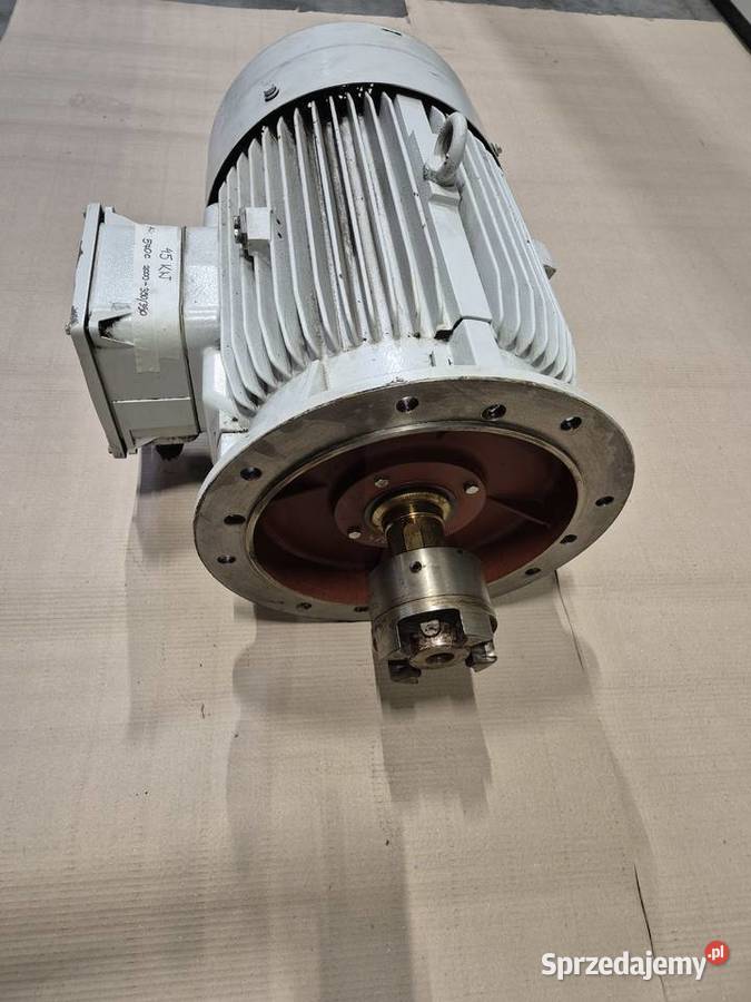 Silnik elektryczny Loher ANGA 225ME04C Bielany Wrocławskie