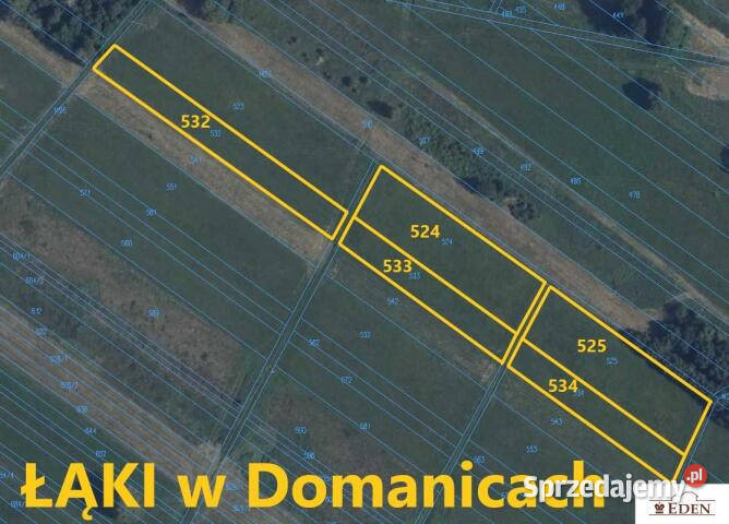 sprzedaży działki Domanice 2971m2 szambo