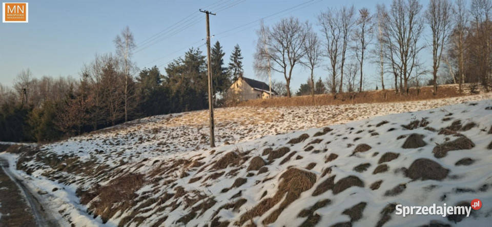 Działka 1638m Krzywaczka małopolskie sprzedam