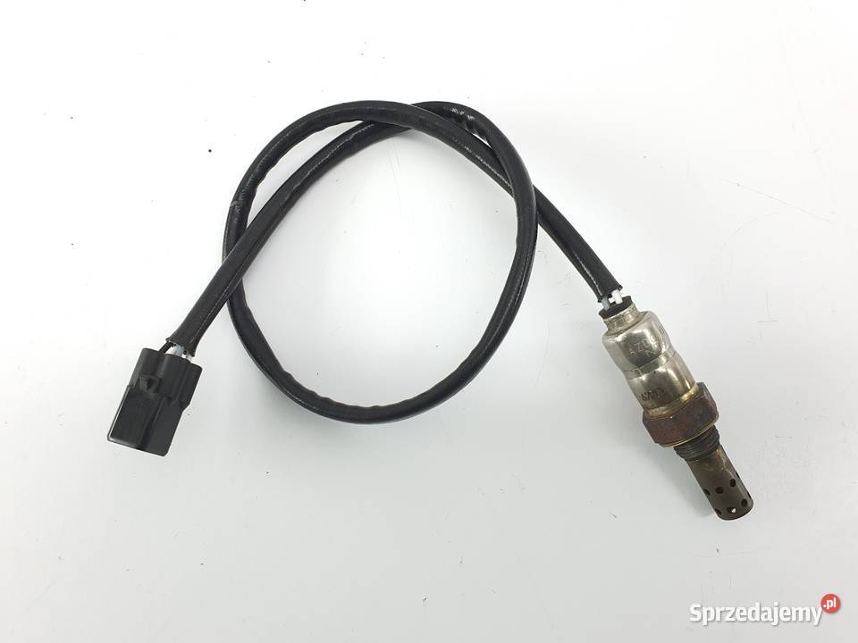 Sonda Triumph Tiger Explorer 1200 Łódź