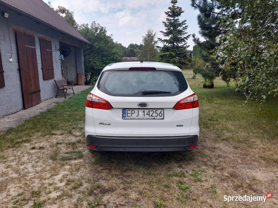 Ford focus 2014 Sulmierzyce