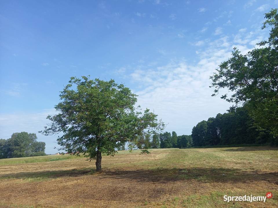 Koszenie nieuzytkow kosiarka bijakowa dęblin