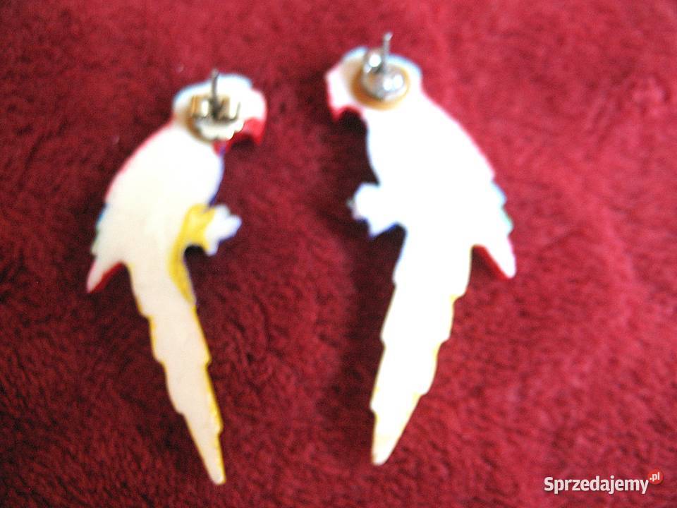 Kolczyki kolorowe papugi 5 x 2 x 04 firma Ozdoby Siedlce