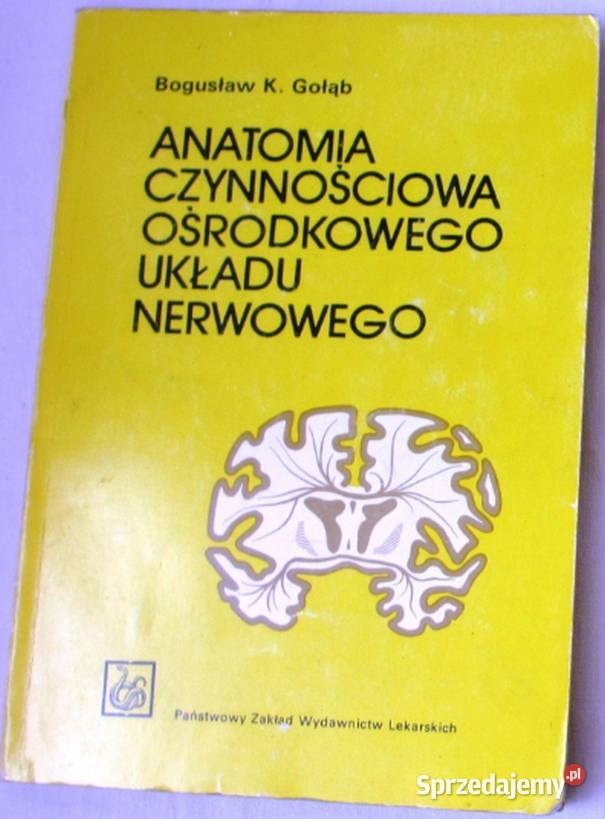 ANATOMIA CZYNNOŚCIOWA OŚRODKOWEGO UKŁADU Książki naukowe i popularnonaukowe Zielona Góra