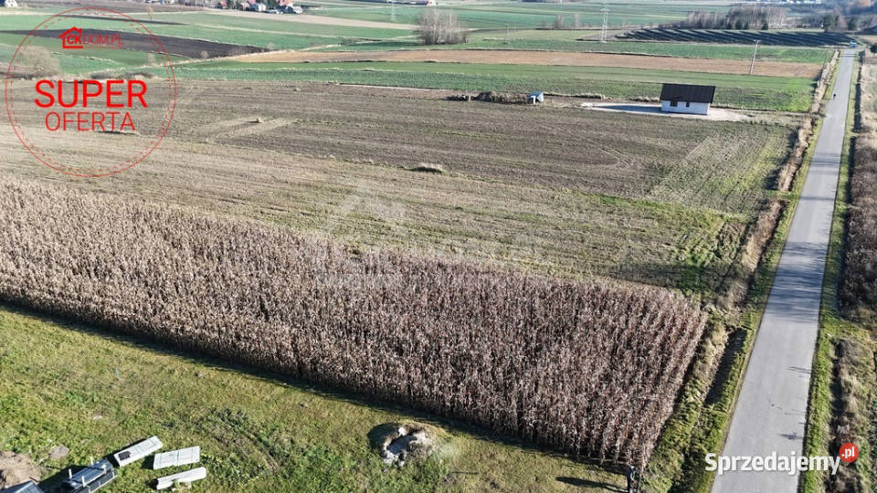 Wyjątkowa działka budowlana 1571 m Sielec sprzedam