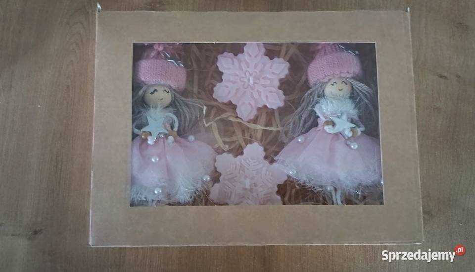 Aniołki boksy śląskie Katowice