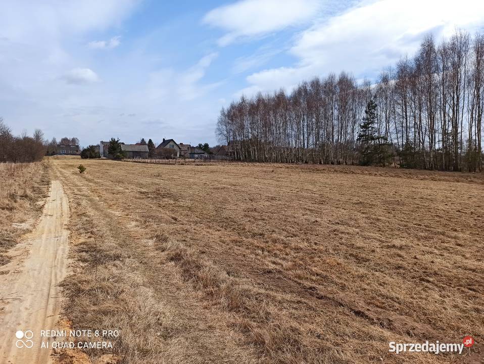 Sprzedam działki budowlane w Sadku 1000m2 Szydłowiec