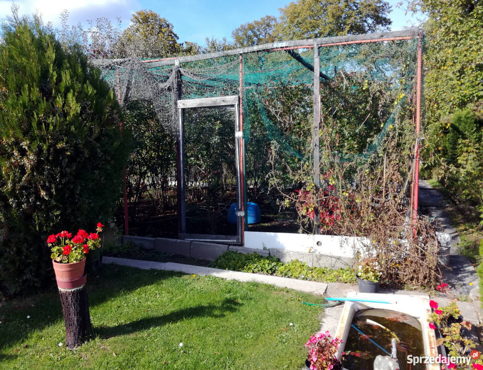 Działka ROD prąd Racibórz