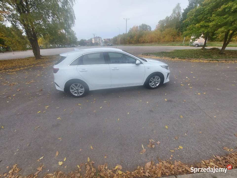 Kia Końskie