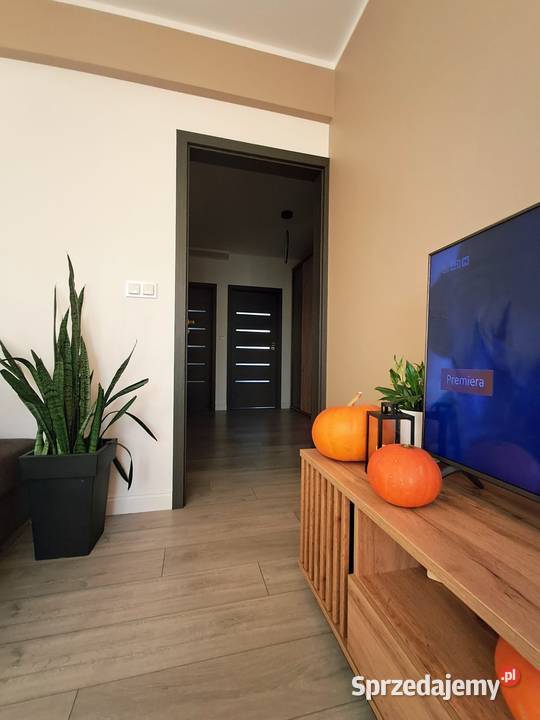 Apartament do sprzedania internet Mogilno