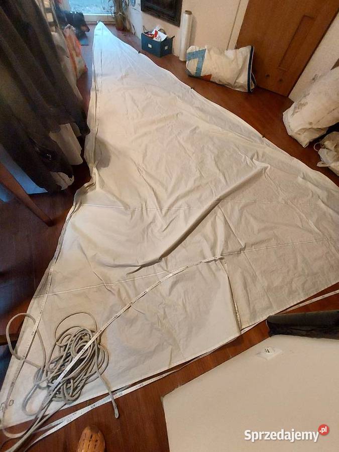 Zagiel Fok na raksy Sport i Wypoczynek Poznań