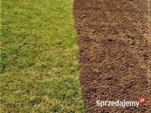 Zakładanie trawnika siew trawy MARKUSZÓW Markuszów