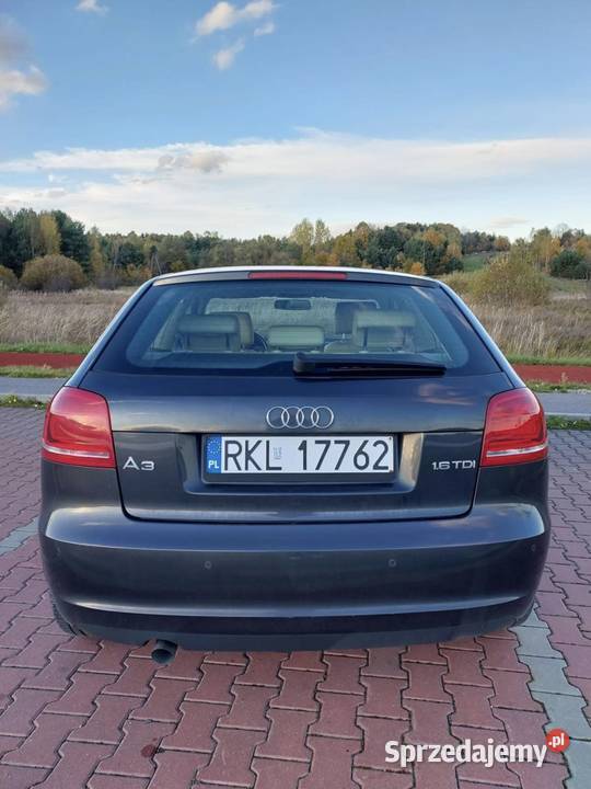 Audi A3 8P 2010 105KM Młynek