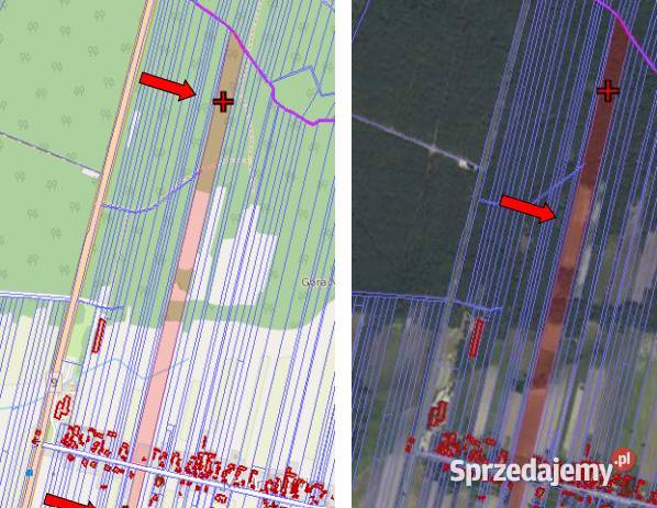 SPRZEDAM POSIADŁOŚĆ 621 HA MODRZEJOWICE GM Sprzedaż Nieruchomości mazowieckie