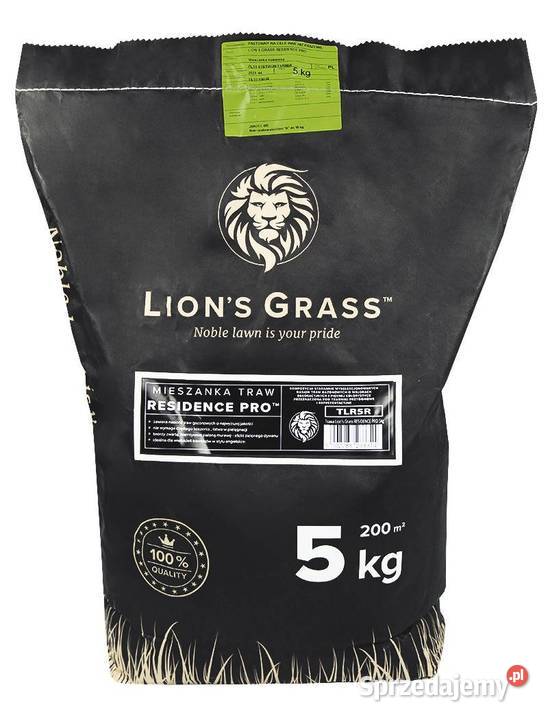 TRAWA dywan TRAWNIK ANGIELSKI niski dywanowy