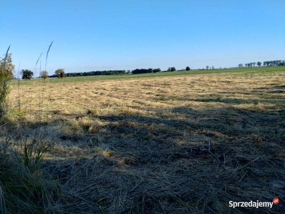 Sprzedam atrakcyjną działkę budowlaną utwardzona Szczedrzykowice