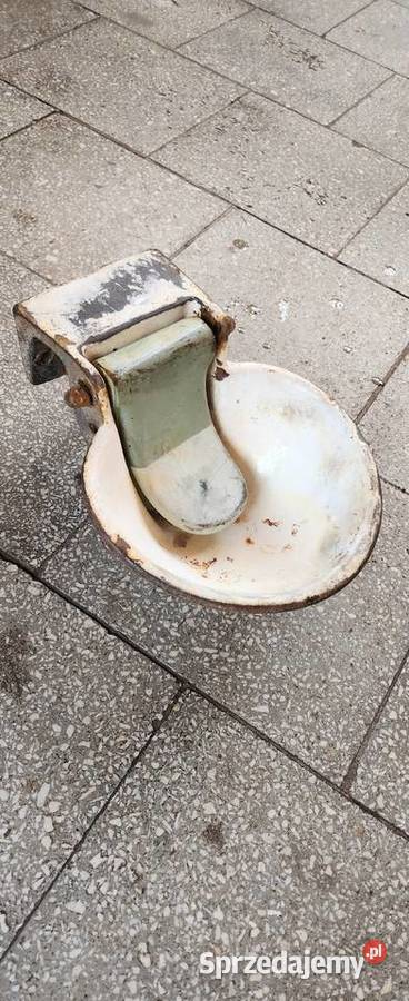 6 Żeliwnezabytkowe poidło zwierzątindustrial Barlinek