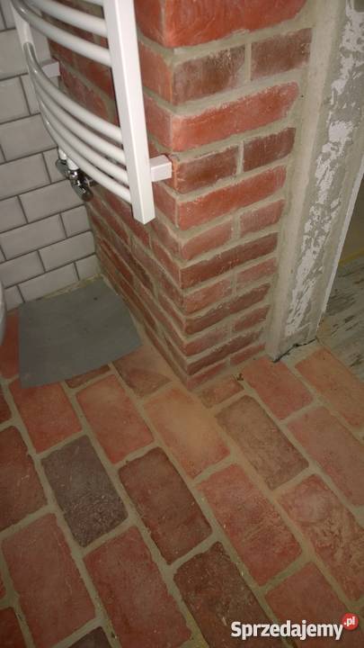 Stara cegła tarasowa wielkopolskie Wolsztyn sprzedam