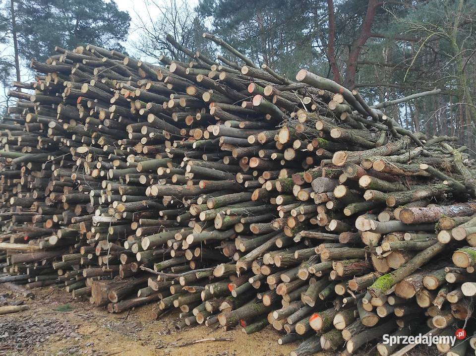 Drewno opałowe Sosna Świerk Dąb Akacja Brzoza dolnośląskie Jabłonów