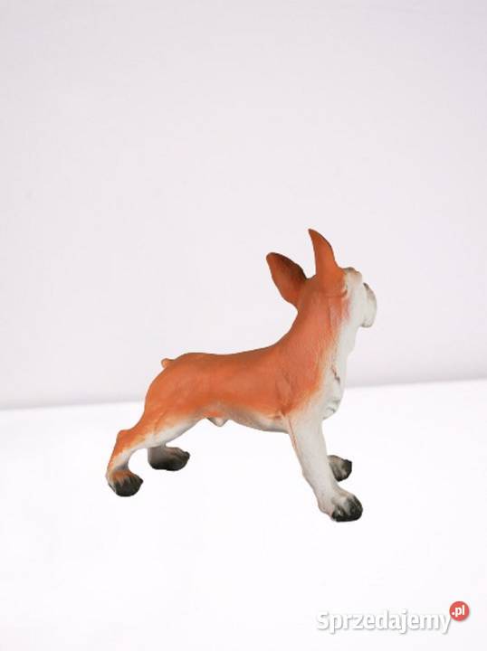 Dekoracja Figura Młody Buldog Warszawa