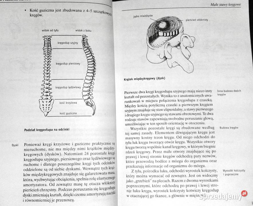 Choroby stawów Gerhard Leibold Chełm