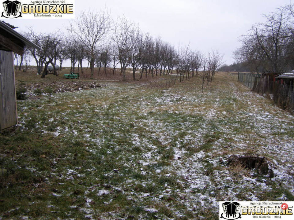 Malutkitanio wprost Gruszowa