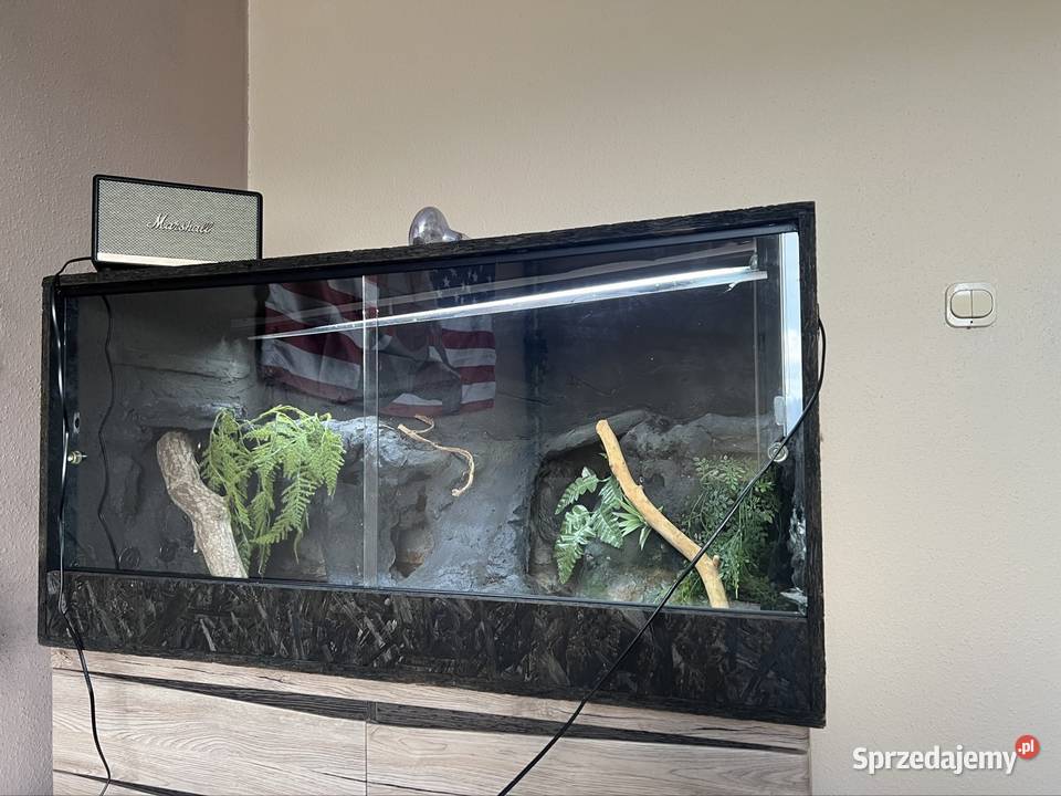 Terrarium 120x60x60 gotowe agamy