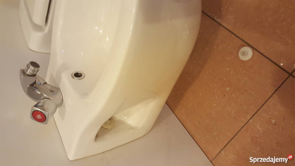 bidet wiszący białybateria Wodzisław Śląski