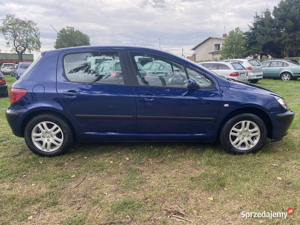 ŚLICZNY PEUGEOT 307 16 b Łask sprzedam