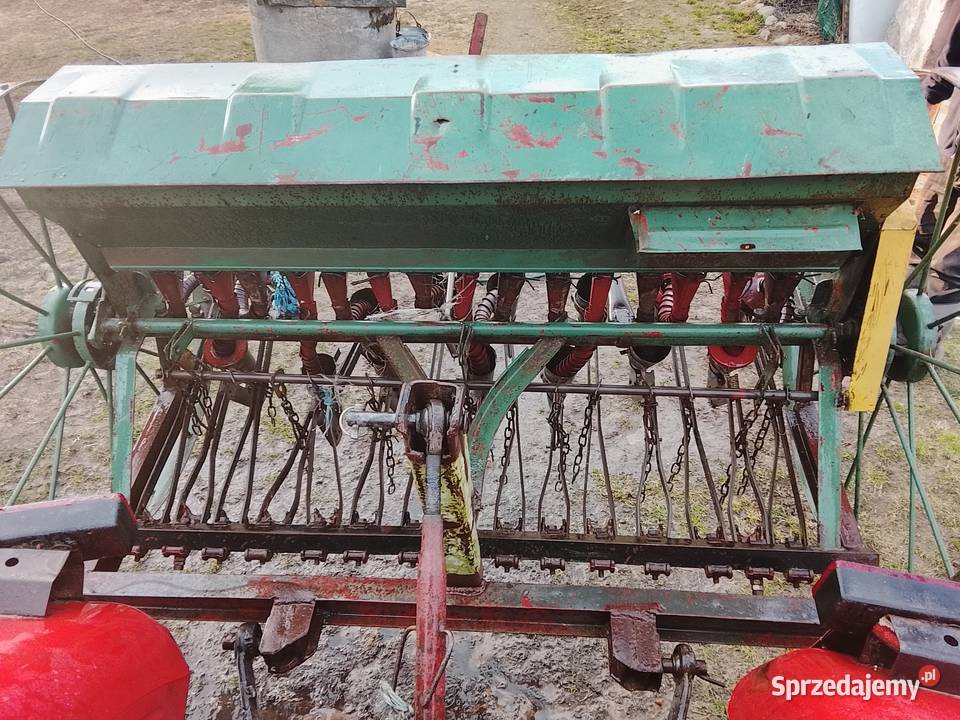 Siewnik mazowieckie Gródek Rządowy