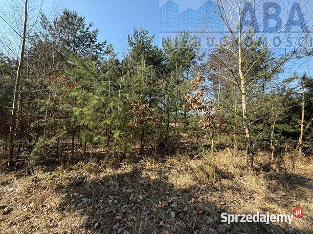 Na sprzedaż działka Niezgoda gm Słupca Grunty i działki