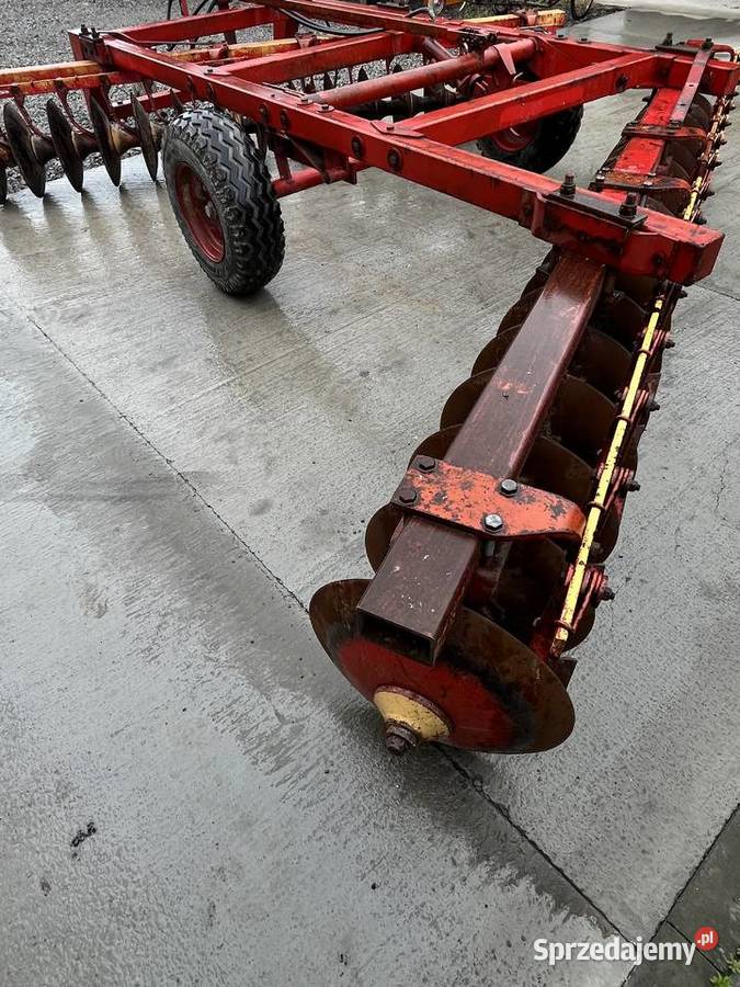 Talerzówka lila harrie 16x2 nieuszkodzony Bukowina