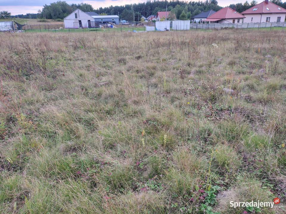 działki budowlane Grunty i działki Morawica