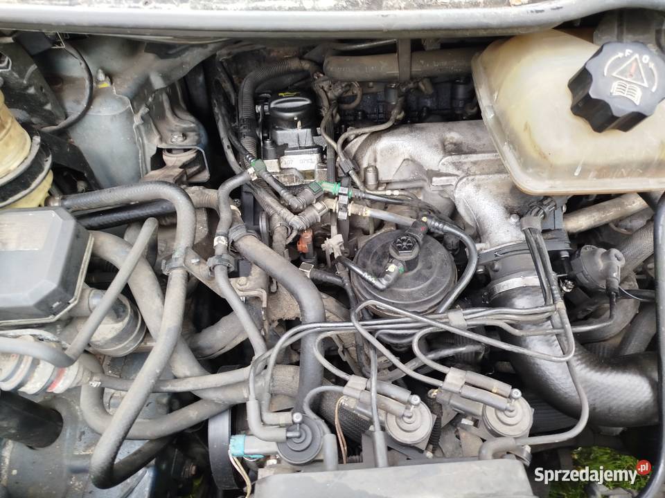 Sprzedam peugeot expert uszkodzony Expert Jędrzejów
