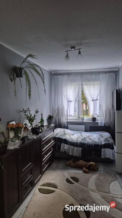 Sprzedam Mieszkanie w lokalizacji dolnośląskie