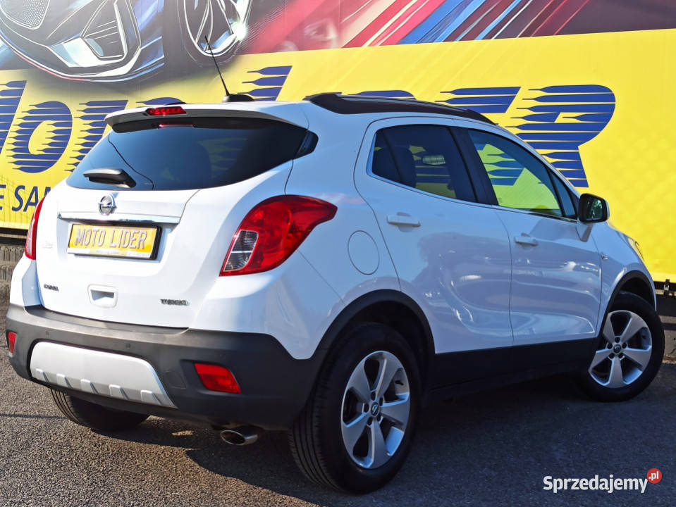 wymianie łańcucha bogata Opel Rzeszów