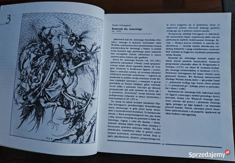 Ogród miłości i 99 innych rycin Hanna Widacka Rok wydania 1996